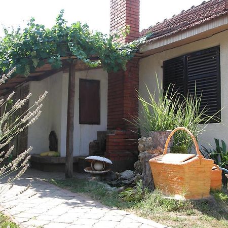 ネゴティンPrzic Houseアパートメント エクステリア 写真